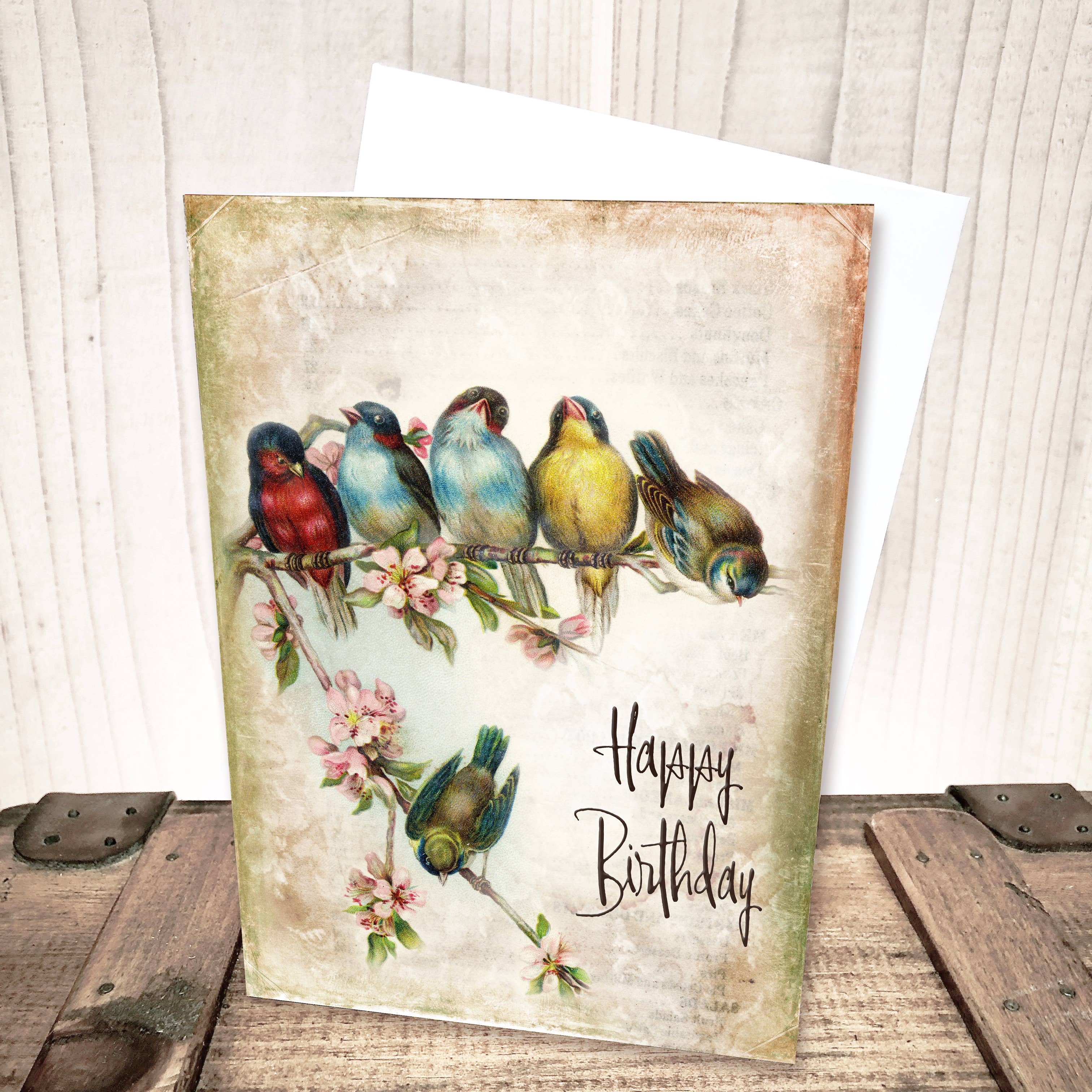 blank Unique /& Beautiful Pine Grosbeak Get Well Birthday Card or any ocassion